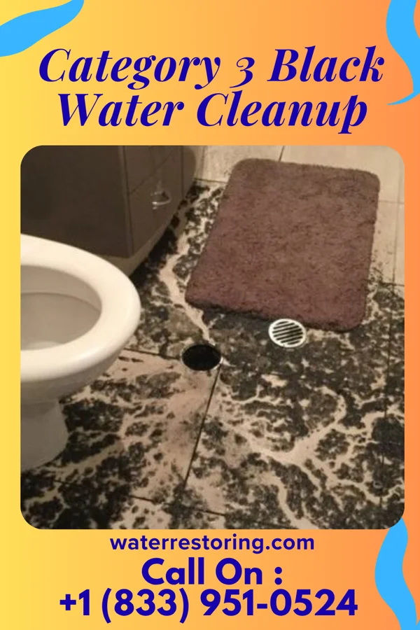 Category 3 Black Water Cleanup in Lakeside Park, KY