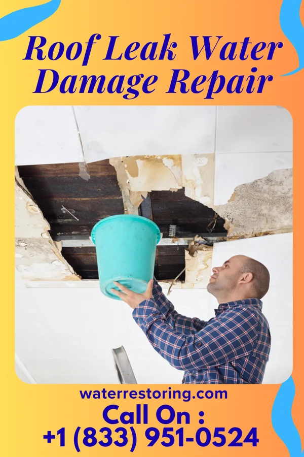 Roof Leak Water Damage Repair in Lakeside Park, KY