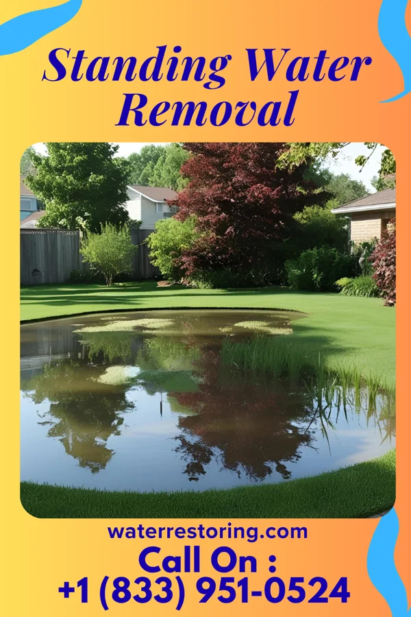 Standing Water Removal in Lakeside Park, KY